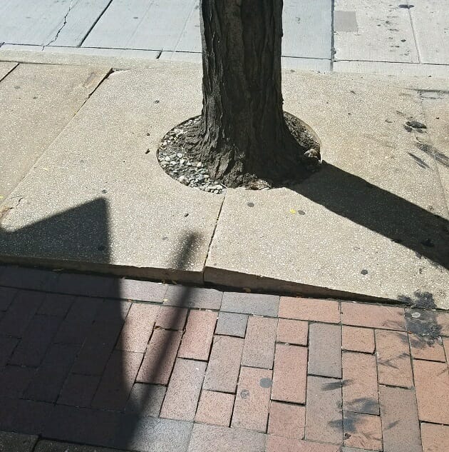 A damaged sidewalk in Philadelphia