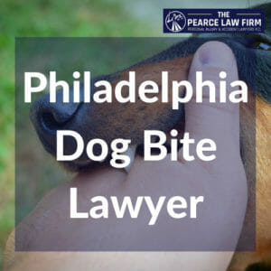 Dog bite lawyer philadelphia